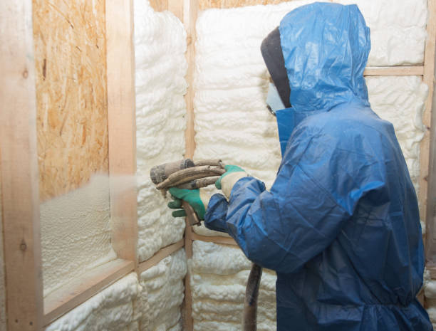 Eco-Friendly or Green Insulation Solutions in Santa Fe, TX